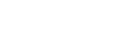 wedgeflex