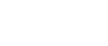 wedgeflex